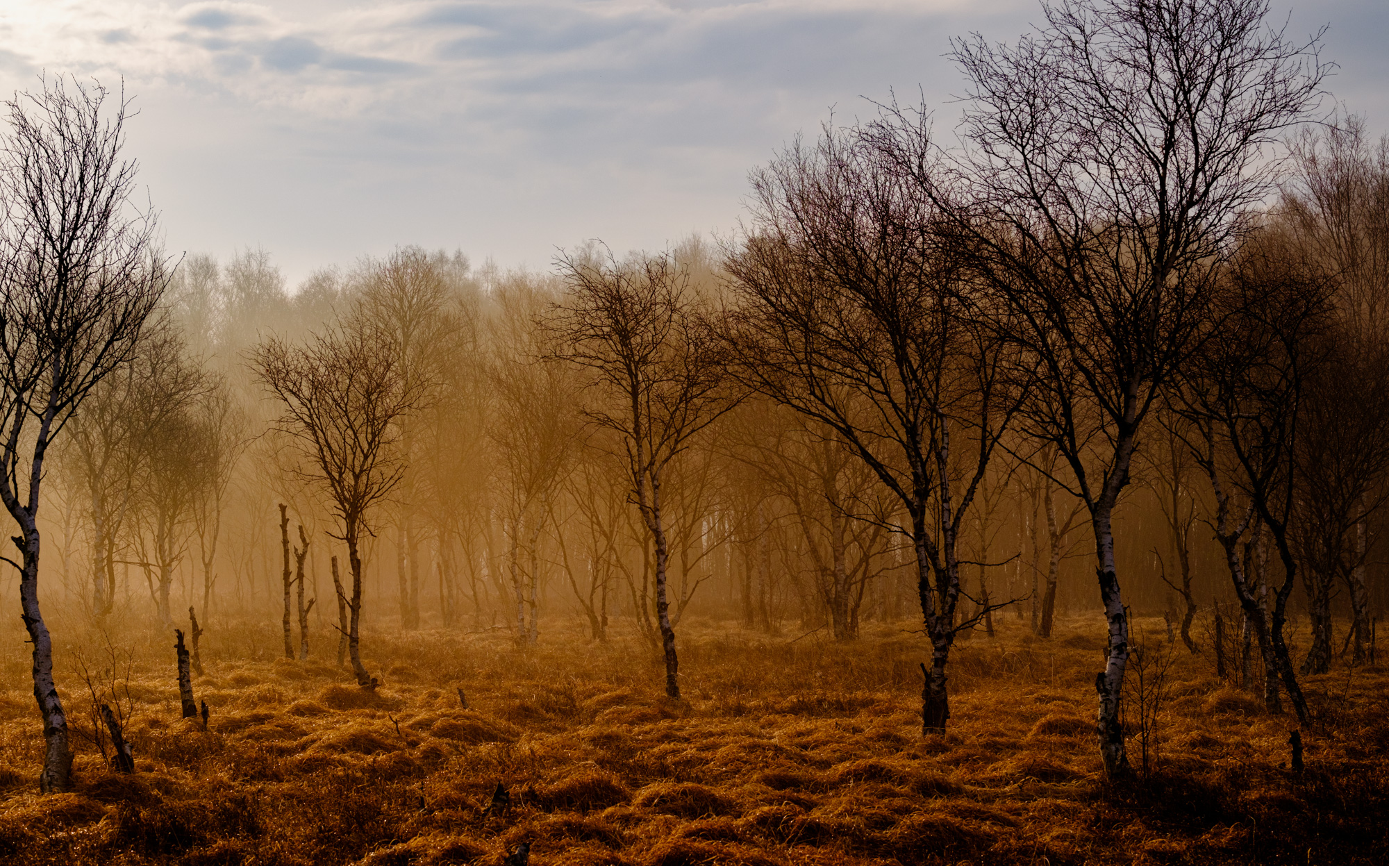 2023 03 19  xt 5   4583